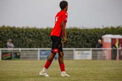 IMG_7246