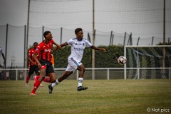 IMG_7282