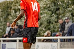 IMG_7330