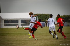 IMG_7397