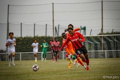IMG_7585