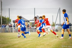 IMG_8174