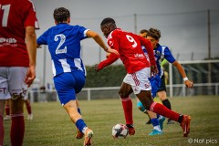 IMG_8185