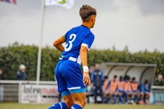 IMG_8239