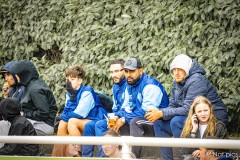 IMG_8241