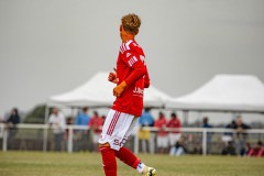 IMG_8272