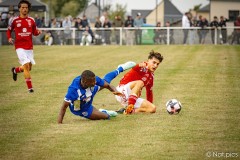 IMG_8428