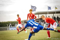 IMG_8452